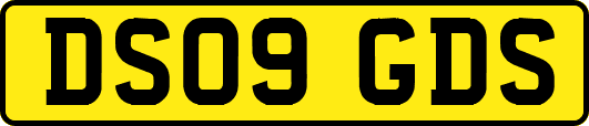 DS09GDS