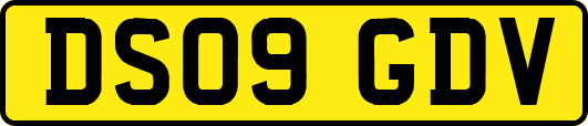 DS09GDV