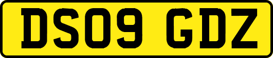 DS09GDZ