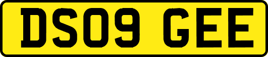 DS09GEE