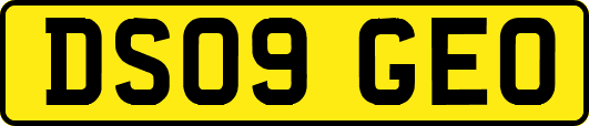 DS09GEO