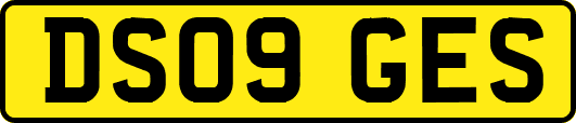 DS09GES