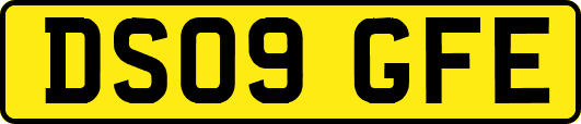 DS09GFE
