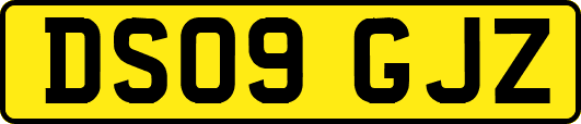 DS09GJZ