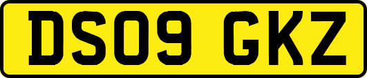 DS09GKZ