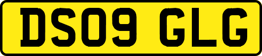 DS09GLG