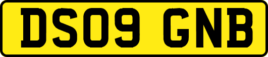 DS09GNB