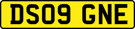 DS09GNE