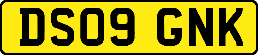 DS09GNK