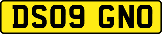 DS09GNO
