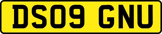 DS09GNU