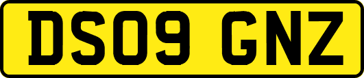 DS09GNZ