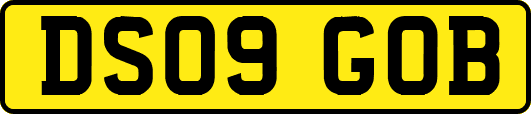 DS09GOB