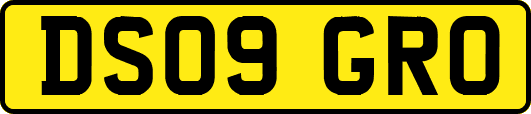 DS09GRO