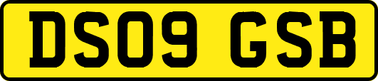 DS09GSB