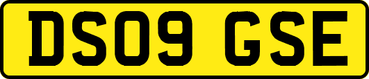 DS09GSE
