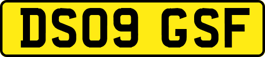 DS09GSF