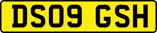 DS09GSH