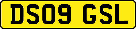 DS09GSL