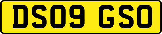 DS09GSO
