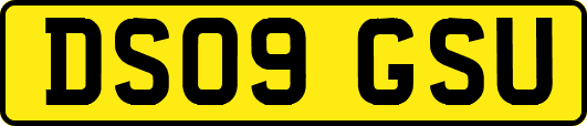 DS09GSU