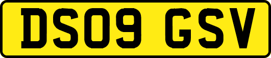 DS09GSV