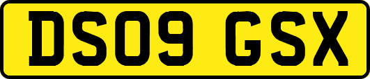 DS09GSX