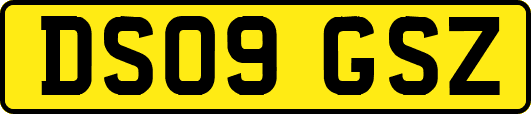 DS09GSZ
