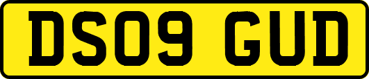 DS09GUD