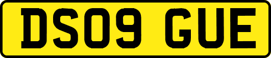 DS09GUE