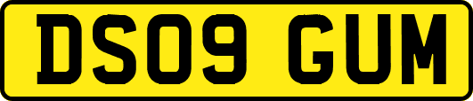 DS09GUM