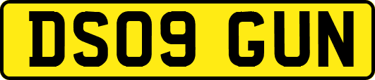 DS09GUN