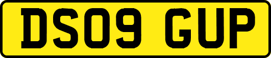 DS09GUP