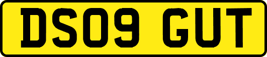 DS09GUT