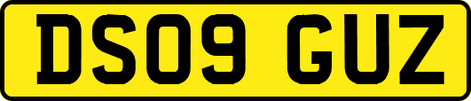 DS09GUZ