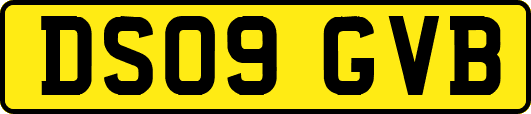 DS09GVB