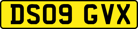 DS09GVX