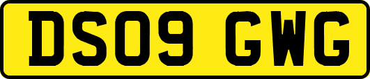 DS09GWG