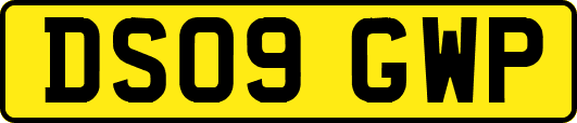 DS09GWP