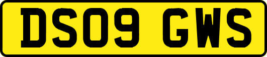 DS09GWS