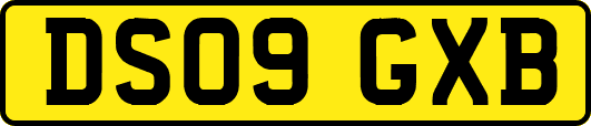 DS09GXB
