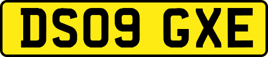 DS09GXE