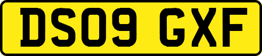 DS09GXF