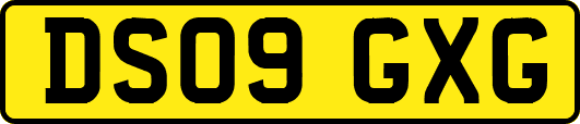 DS09GXG
