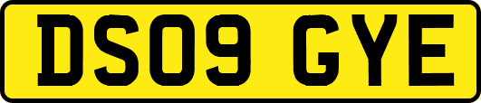 DS09GYE