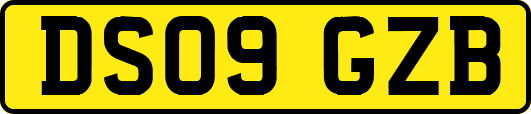 DS09GZB