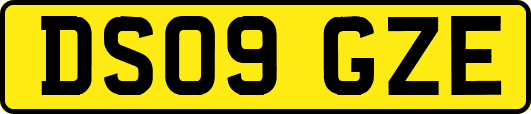 DS09GZE