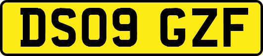 DS09GZF
