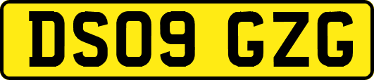 DS09GZG