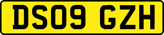 DS09GZH